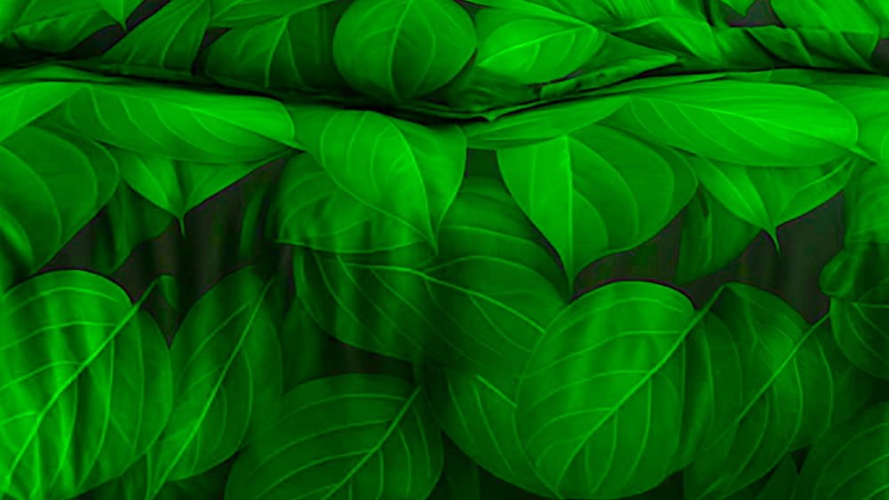 8803da3bc3a30166a4faf6070eece7a1.jpg